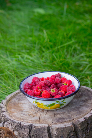 Raspberries in a bowl on a stump in the garden.の写真素材
