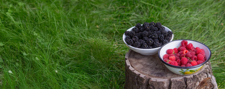 Blackberries and raspberries in a bowl on a stump in the garden.