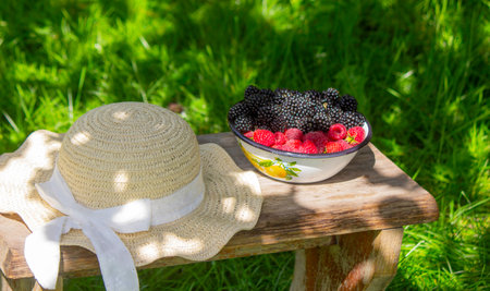 Blackberries and raspberries in a bowl on a stump in the garden.の写真素材