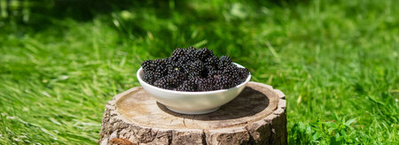 Blackberries in a bowl on a stump in the gardenの写真素材