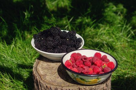 Blackberries and raspberries in a bowl on a stump in the garden.の写真素材