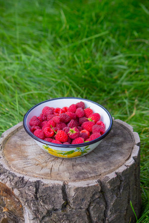 Raspberries in a bowl on a stump in the garden.の写真素材