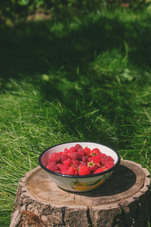Raspberries in a bowl on a stump in the garden.の写真素材