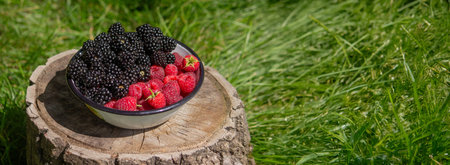 Blackberries and raspberries in a bowl on a stump in the garden.