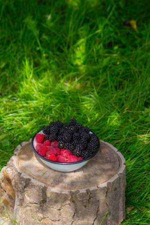 Blackberries and raspberries in a bowl on a stump in the garden.の写真素材