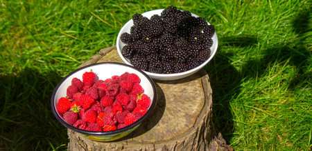 Blackberries and raspberries in a bowl on a stump in the garden.