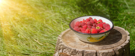 Raspberries in a bowl on a stump in the garden.の写真素材