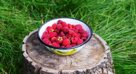 Raspberries in a bowl on a stump in the garden.の写真素材