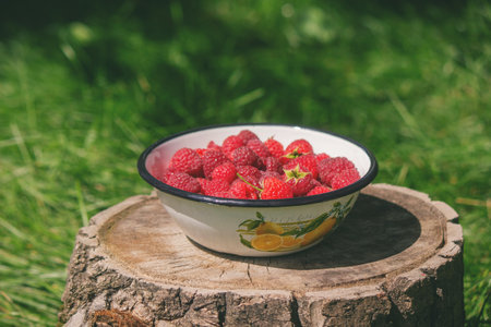 Raspberries in a bowl on a stump in the garden.の写真素材