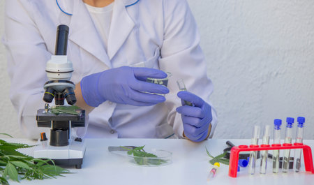 Scientist analyzing cannabis leaf in laboratory.