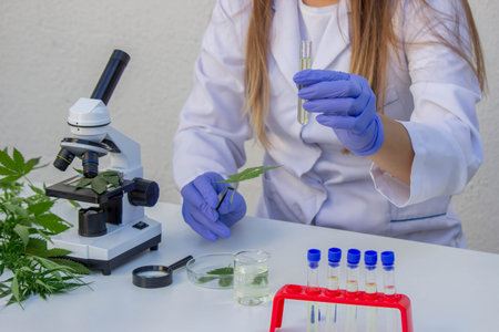 Scientist analyzing cannabis leaf in laboratory.