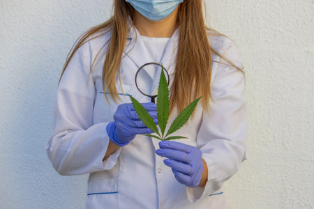 Scientist examining cannabis leaf with magnifying glass.