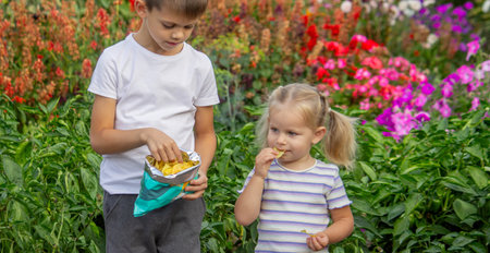 Boy and girl eating chips from a pack. Kidの写真素材