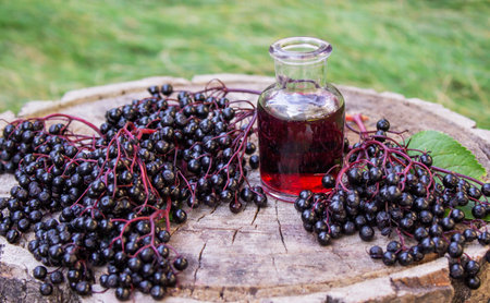 Folk medicine and natural black elderberry syrup on a wooden stump. Elderberry tincture.