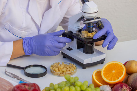 Laboratory Check of Pasta. Microscopic Analysis of Ingredient Quality