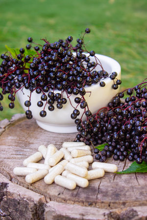 Natural remedies, capsules and immune supplements made from black elderberryの写真素材
