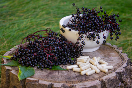 Natural remedies, capsules and immune supplements made from black elderberry