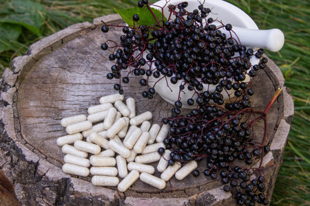 Natural remedies, capsules and immune supplements made from black elderberry