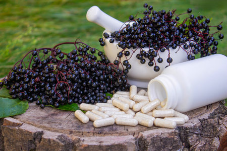 Natural remedies, capsules and immune supplements made from black elderberryの写真素材
