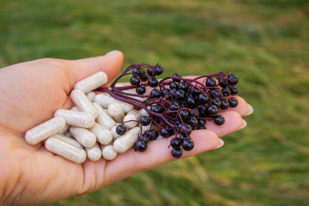Elderberry and Capsules for Immunity in Hand.の写真素材