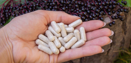 Elderberry and Capsules for Immunity in Hand.の写真素材