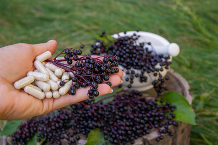 Elderberry and Capsules for Immunity in Hand.の写真素材