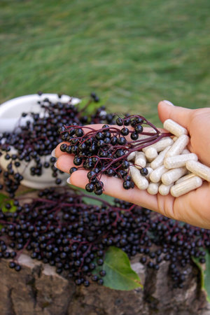 Elderberry and Capsules for Immunity in Hand.の写真素材