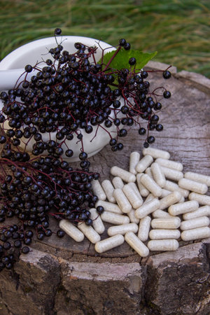 Natural remedies, capsules and immune supplements made from black elderberryの写真素材