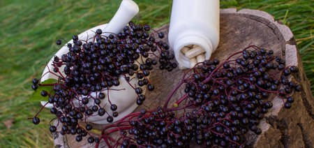 Natural remedies, capsules and immune supplements made from black elderberryの写真素材