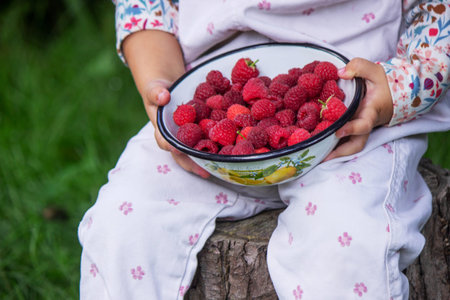 A little girl in the garden is eating raspberriesの写真素材