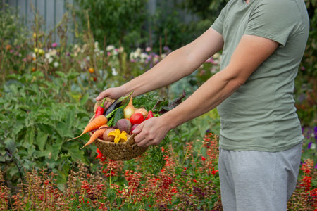 Farmer Holding a Wicker Basket Full of Fresh Organic Harvested Vegetables.の写真素材