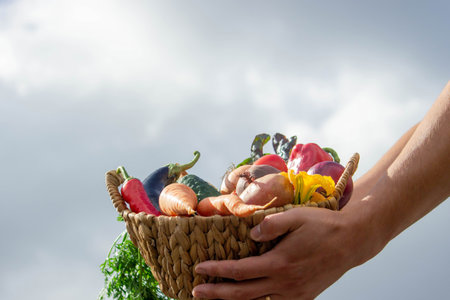 Farmer Holding a Wicker Basket Full of Fresh Organic Harvested Vegetables.の写真素材
