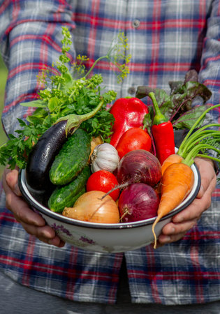 Farmer Holding a Bowl of Fresh Organic Vegetables Harvested from the Garden.