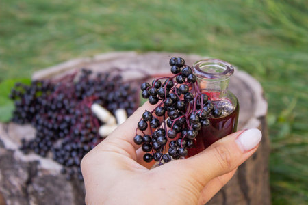 Elderberry berries, syrup and capsules on a wooden stump. Medical propertiesの写真素材