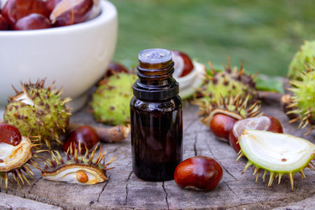 Horse chestnut, extract oil bottle. Medicinal use for veins and vascular health.の写真素材