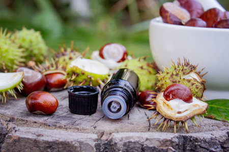 Horse chestnut, extract oil bottle. Medicinal use for veins and vascular health.の写真素材