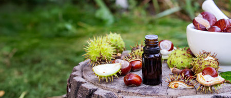 Horse chestnut, extract oil bottle. Medicinal use for veins and vascular health.の写真素材