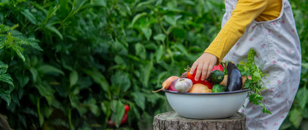 A child's hand reaches for a bowl of freshly picked organic vegetables in the gardenの写真素材