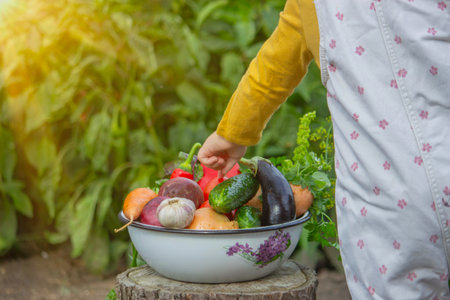 A child's hand reaches for a bowl of freshly picked organic vegetables in the gardenの写真素材