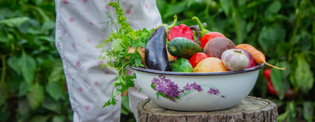 A little girl holds a large bowl of freshly picked, organic vegetables from the gardenの写真素材