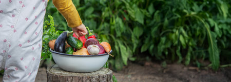 A child's hand reaches for a bowl of freshly picked organic vegetables in the gardenの写真素材