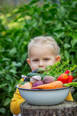 A little girl holds a large bowl of freshly picked, organic vegetables from the gardenの写真素材
