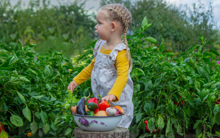 A child's hand reaches for a bowl of freshly picked organic vegetables in the gardenの写真素材