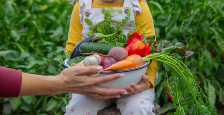 A little girl holds a large bowl of freshly picked, organic vegetables from the garden