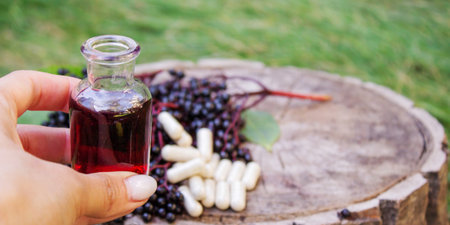 Elderberry berries, syrup, and herbal supplement capsules for natural cold and flu remedyの写真素材