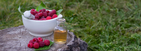 Fresh raspberries in a mortar with a bottle of natural herbal extract or essential oil outdoorsの写真素材