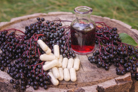 Elderberry berries, syrup, and herbal supplement capsules for natural cold and flu remedyの写真素材