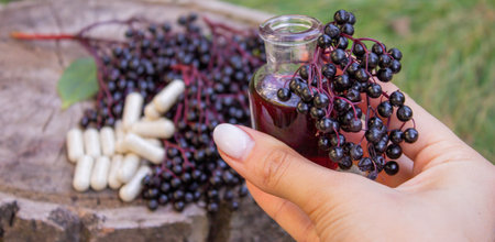 Elderberry berries, syrup, and herbal supplement capsules for natural cold and flu remedyの写真素材