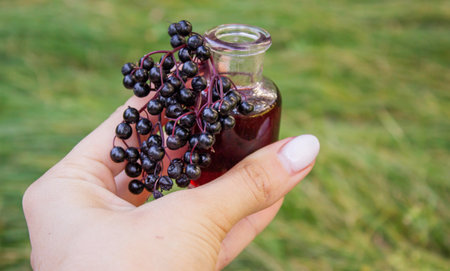 Elderberry berries, syrup, and herbal supplement capsules for natural cold and flu remedyの写真素材