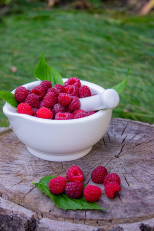 Fresh raspberries in a mortar with a bottle of natural herbal extract or essential oil outdoorsの写真素材